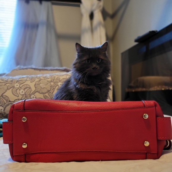 Coach shoulder bag NWOT - Picture 10 of 10